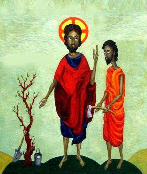 Parabola-fico-sterile