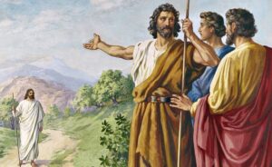 Vangelo 1 29 34